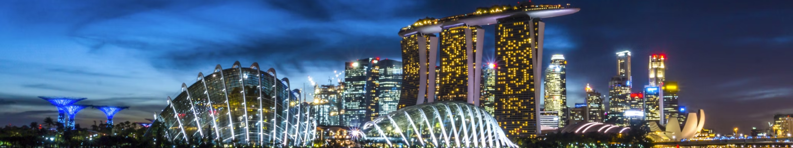 A vibrant city skyline at night, featuring a blend of skyscrapers and tower blocks that define the metropolitan landscape.